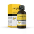 Pangluin