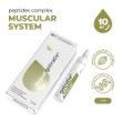 Gotratix lingual - tessuto muscolare